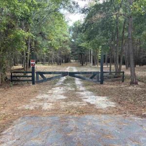 View of asphalt driveway