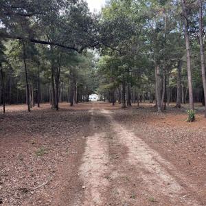 View of road