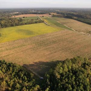Photo #7 of 66.5 Acres-TBD Baxley Rd., Hemingway, SC 66.5 acres