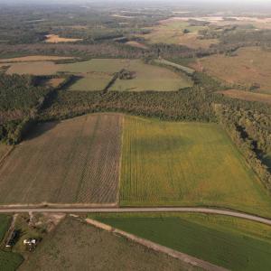 Photo #1 of 66.5 Acres-TBD Baxley Rd., Hemingway, SC 66.5 acres