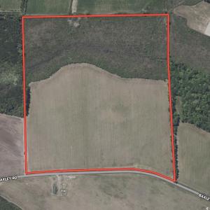 Photo #21 of 66.5 Acres-TBD Baxley Rd., Hemingway, SC 66.5 acres