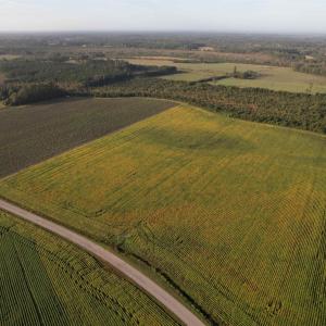 Photo #3 of 66.5 Acres-TBD Baxley Rd., Hemingway, SC 66.5 acres