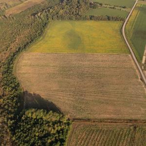 Photo #8 of 66.5 Acres-TBD Baxley Rd., Hemingway, SC 66.5 acres