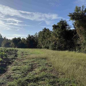 Photo #16 of 66.5 Acres-TBD Baxley Rd., Hemingway, SC 66.5 acres