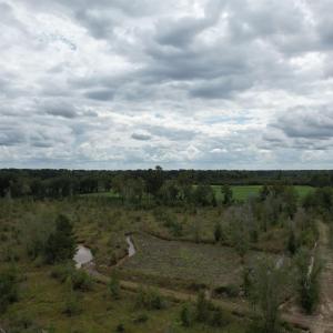 View of local wilderness featuring rural landscape