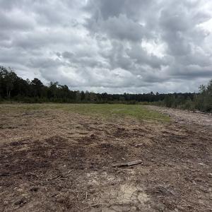 View of local wilderness featuring rural landscape