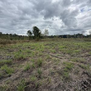 View of local wilderness with rural landscape