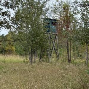 View of undeveloped land