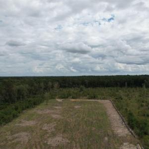 Drone / aerial view of a heavily wooded area