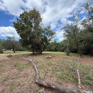 View of yard with a view of rural / pastoral area