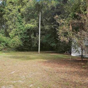 View of grassy yard