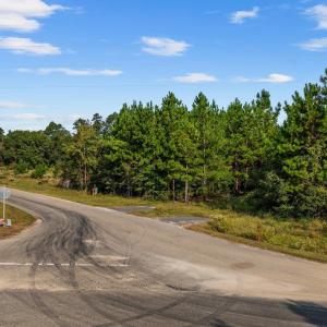 Photo #11 of TBD Tract B Old Highway 90, Conway, SC 17.8 acres