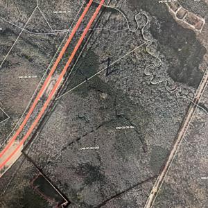 Photo #1 of TBD Highway 57 N, Dillon, SC 205.0 acres