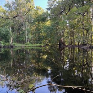 View of wooded area featuring a water view
