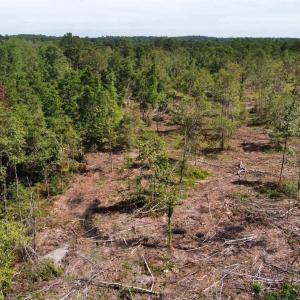 View of undeveloped land