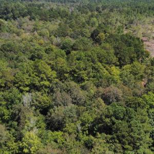 Aerial view of property's location featuring rural