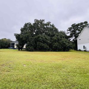 View of grassy yard with view of scattered trees