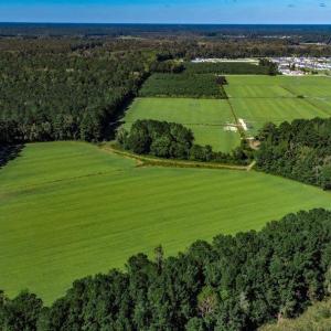 Photo #5 of 8.06 Acs Old Bucksville Rd., Conway, SC 8.1 acres