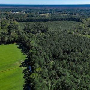 Photo #8 of 8.06 Acs Old Bucksville Rd., Conway, SC 8.1 acres