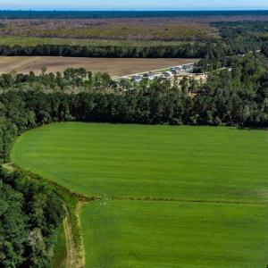 Photo #7 of 8.06 Acs Old Bucksville Rd., Conway, SC 8.1 acres