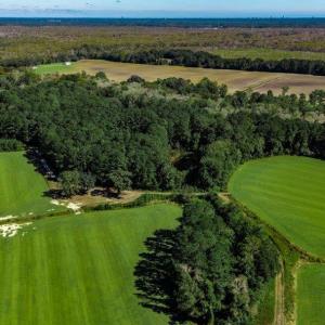 Photo #9 of 8.06 Acs Old Bucksville Rd., Conway, SC 8.1 acres