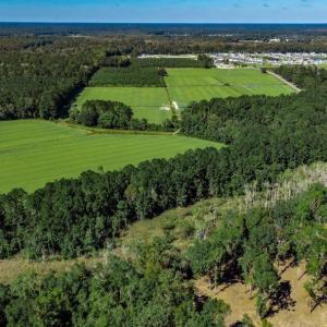 Photo #4 of 8.06 Acs Old Bucksville Rd., Conway, SC 8.1 acres