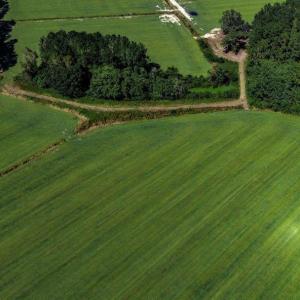 Photo #6 of 8.06 Acs Old Bucksville Rd., Conway, SC 8.1 acres