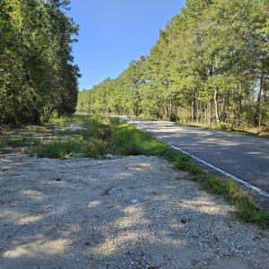View of Hwy 50 from easement.