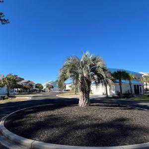 View of asphalt street with a residential view, cu