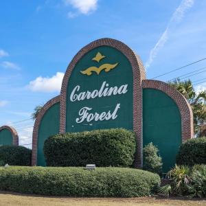 Photo #36 of 3037 Holly Berry Ct., Myrtle Beach, SC 1.8 acres