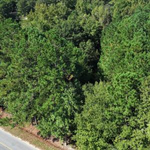 Aerial view of property's location with a heavily