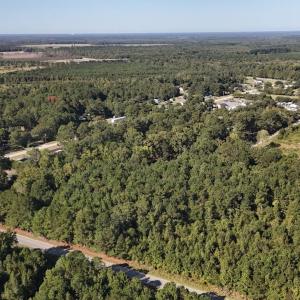 View of property location with a forest