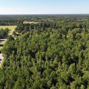 Aerial view of property's location with a heavily