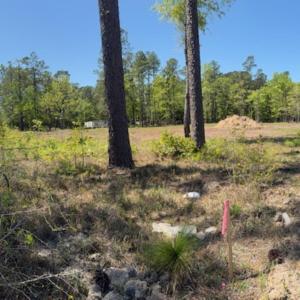Photo #10 of TBD Johnson Rd., Georgetown, SC 1.4 acres