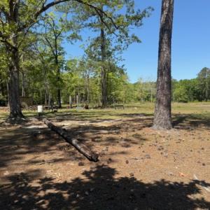 Photo #14 of TBD Johnson Rd., Georgetown, SC 1.4 acres