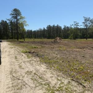 Photo #4 of TBD Johnson Rd., Georgetown, SC 1.4 acres