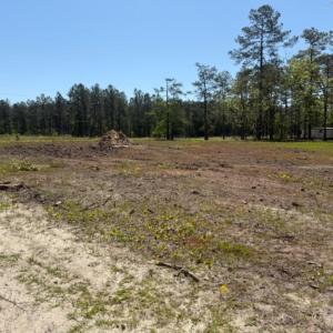 Photo #3 of TBD Johnson Rd., Georgetown, SC 1.4 acres