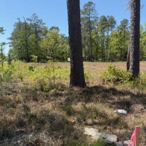 Photo #8 of TBD Johnson Rd., Georgetown, SC 1.4 acres