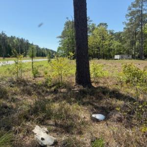 Photo #11 of TBD Johnson Rd., Georgetown, SC 1.4 acres