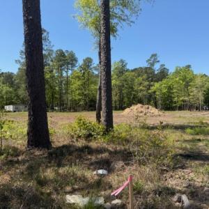 Photo #9 of TBD Johnson Rd., Georgetown, SC 1.4 acres