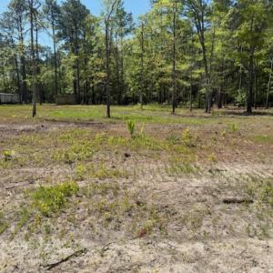Photo #5 of TBD Johnson Rd., Georgetown, SC 1.2 acres