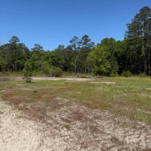 Photo #2 of TBD Johnson Rd., Georgetown, SC 1.2 acres