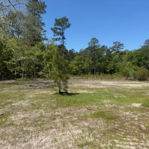 Photo #7 of TBD Johnson Rd., Georgetown, SC 1.2 acres