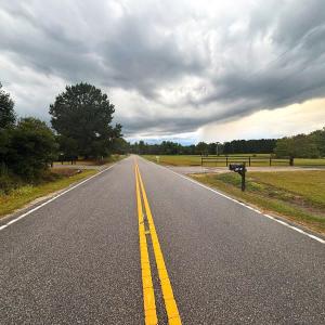 Photo #8 of Winnie Rd., Nichols, SC 0.8 acres