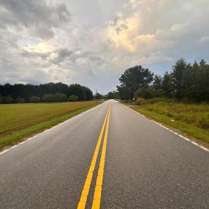 Photo #2 of Winnie Rd., Nichols, SC 0.8 acres