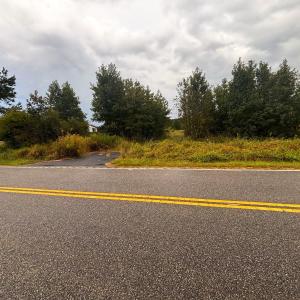 Photo #5 of Winnie Rd., Nichols, SC 0.8 acres