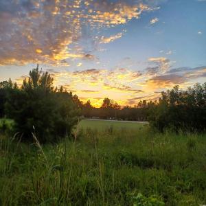 Photo #3 of Winnie Rd., Nichols, SC 0.8 acres