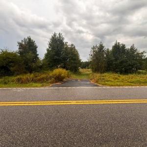 Photo #6 of Winnie Rd., Nichols, SC 0.8 acres