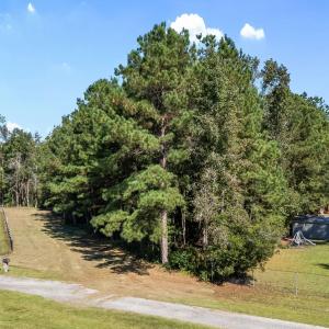 View of community with a trampoline