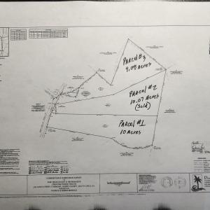 Photo #4 of TBDParcel #3 Amber Ln., Galivants Ferry, SC 9.1 acres